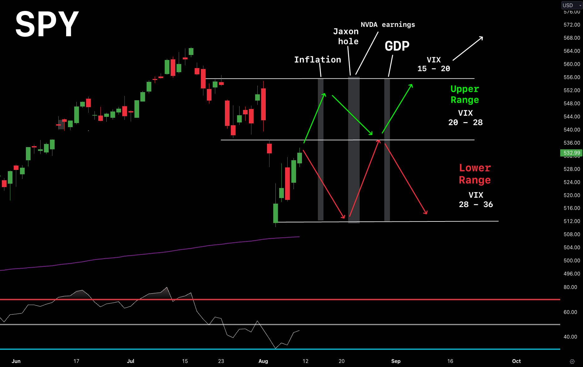 Dead Cat Bounce